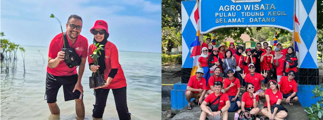 Mangrove Reforestation di Pulau Tidung