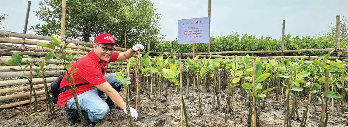 Perkuat Ketahanan Pesisir, Great Eastern Life Indonesia dan OCBC Lakukan Penanaman Mangrove