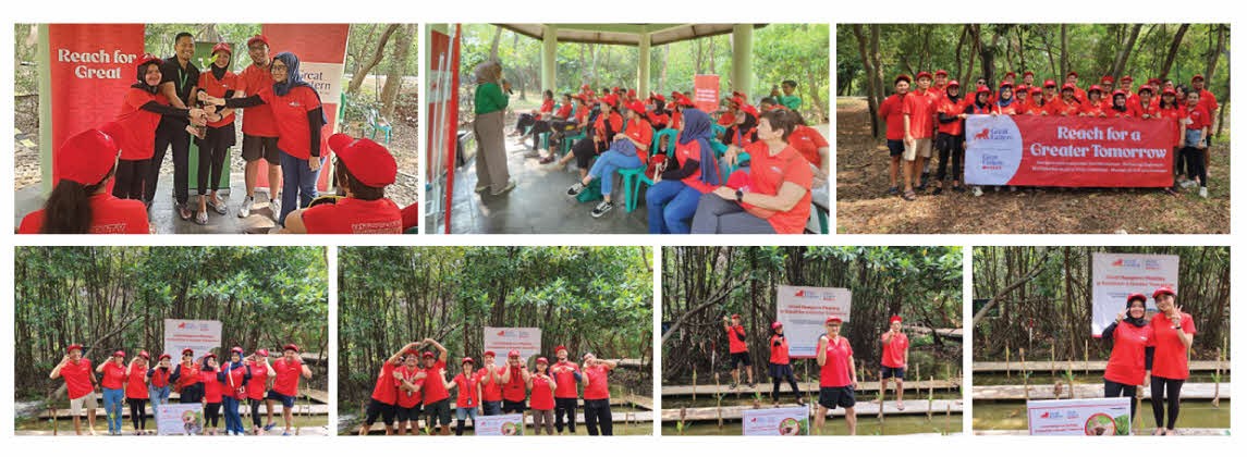 The Great Comfund 2024