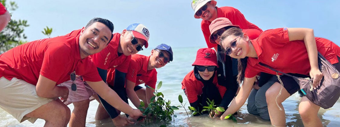 Mangrove Reforestation di Pulau Tidung