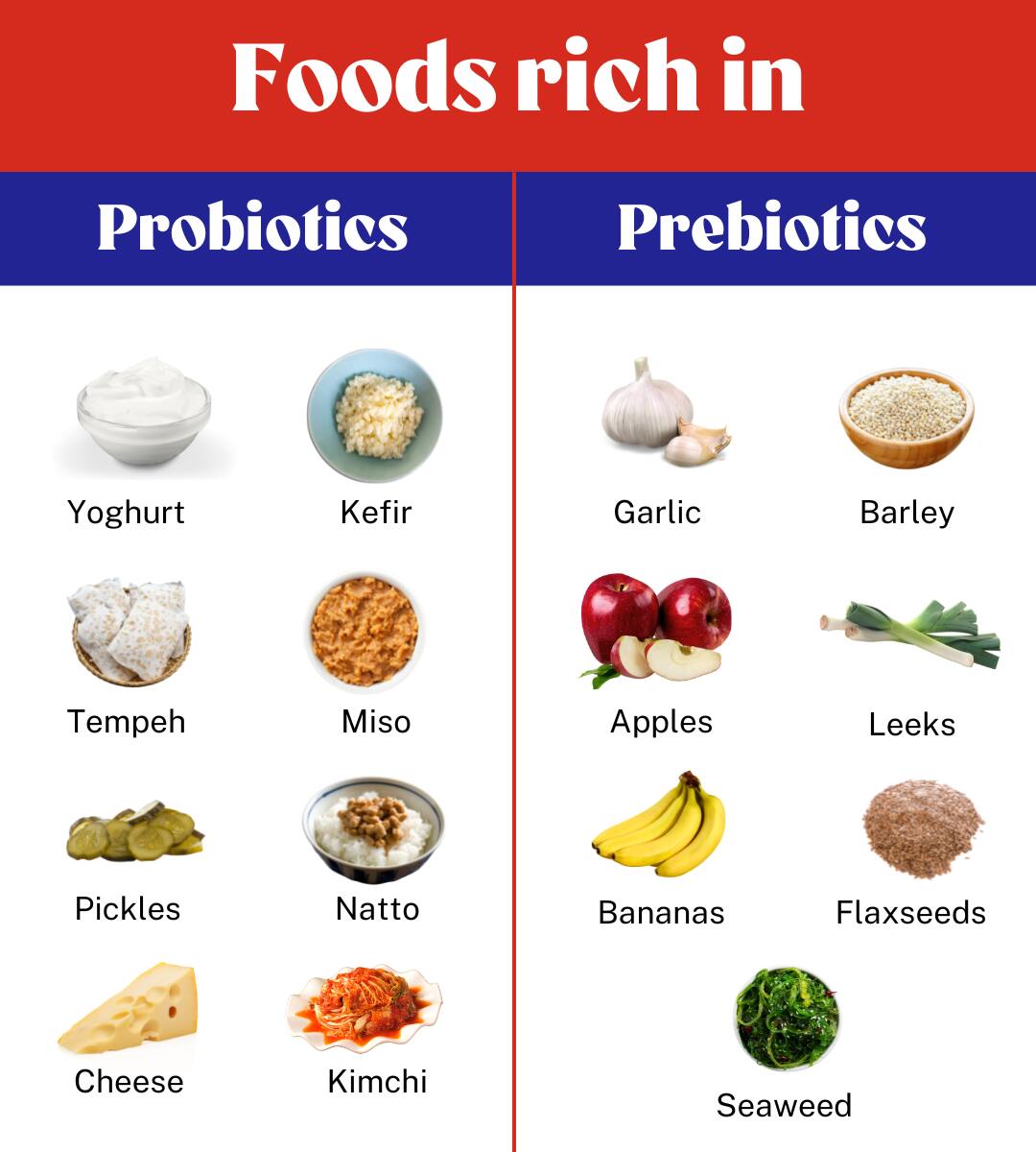 foods-rich-in-prebiotics-probiotics