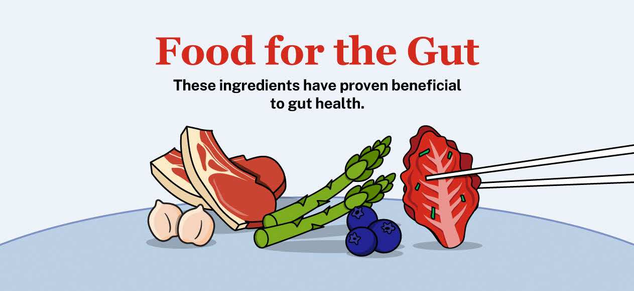 Gut Instincts – Crossword Edition 1