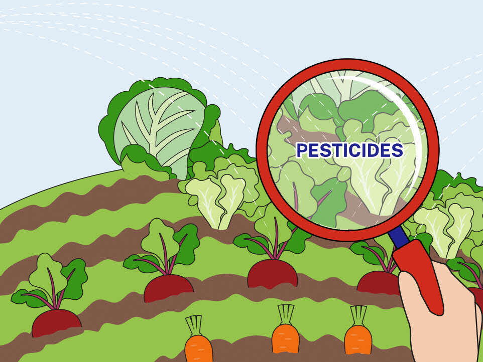 Pesticide residues