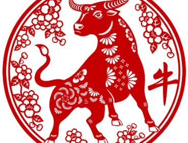 Ox in the year of the water rabbit