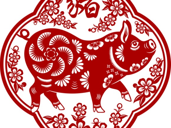 Pig in the year of the water rabbit
