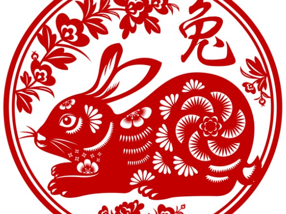Rabbit in the year of the water rabbit