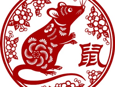 rat in the year of the water rabbit