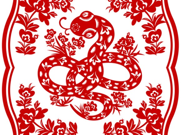 Snake in the year of the water rabbit