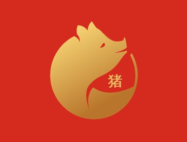 Pig in the year of the wood dragon