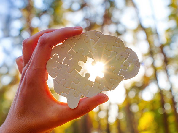 The Health Dialogue image