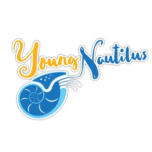 Young Nautilus