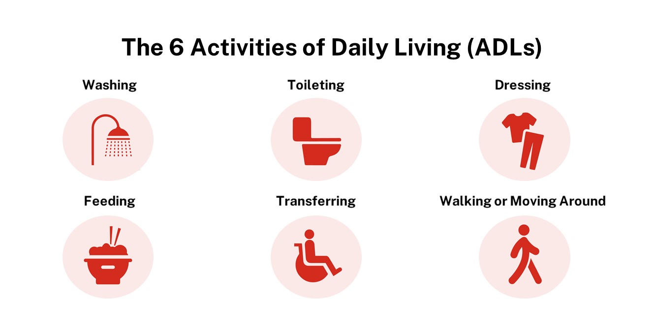 6 activities of daily living