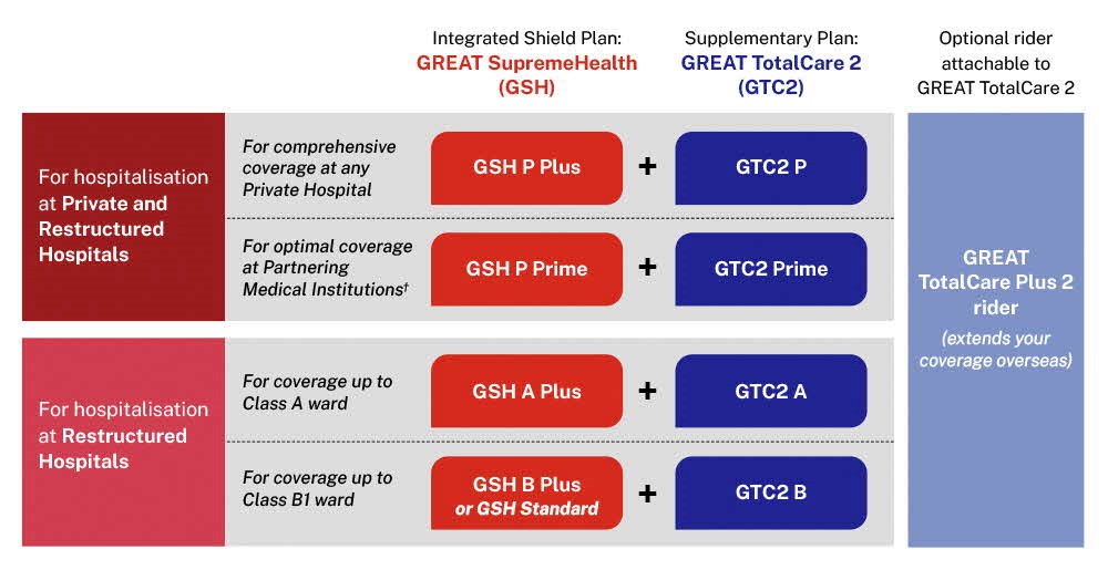 gels-pdt-pd-gsh-plan-type