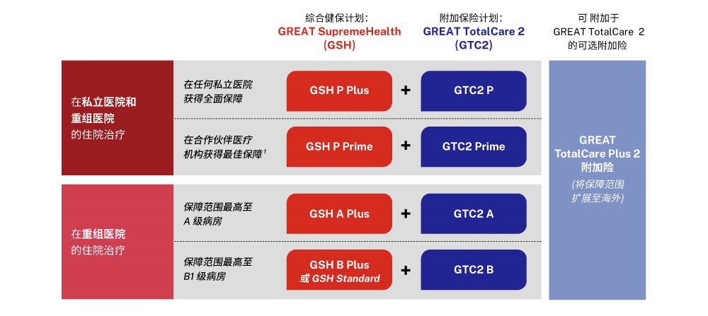 gels-pdt-pd-gsh-zh-plan-type