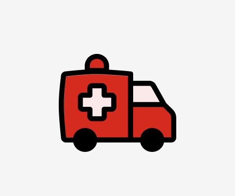 Great careshield