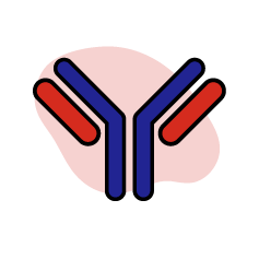 great eastern lifepedia 5 power players in your immune system immunotherapy singapore