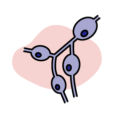 great eastern lifepedia 5 power players in your immune system immunotherapy singapore