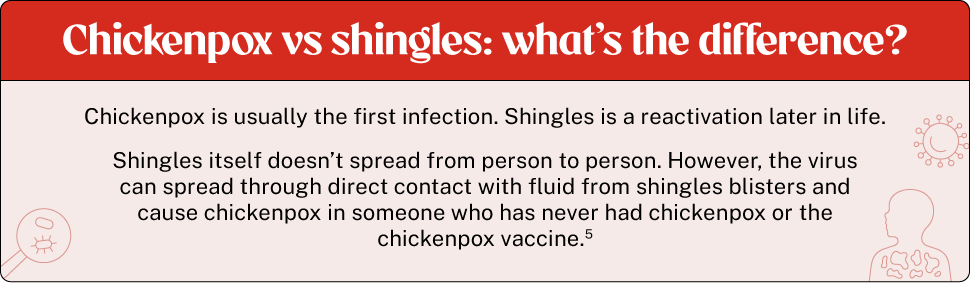 chickenpox vs shingles difference between chickenpox and shingles