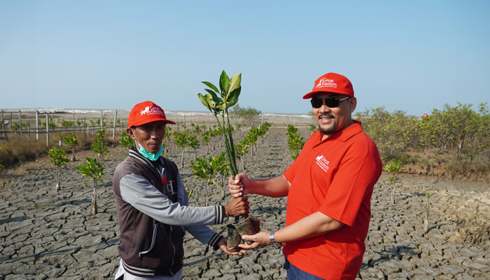 Mangrove planting and financial education for farmers in Indonesia