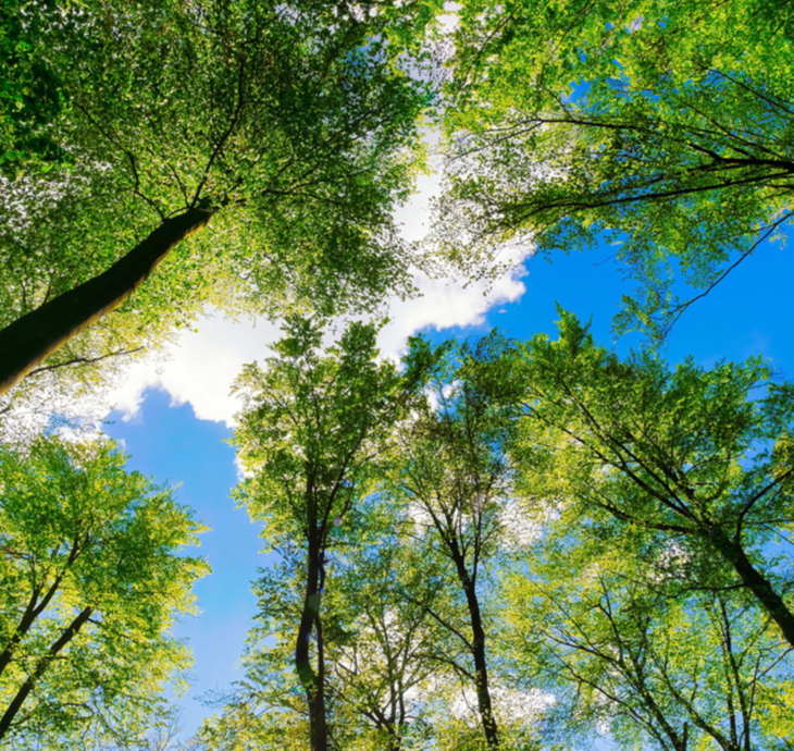 Sustainability report 2025