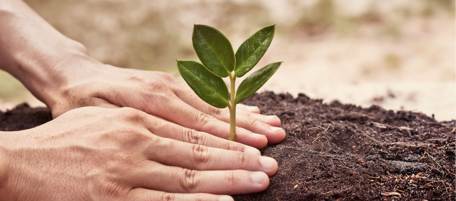 Strengthening the Foundation of Your Wealth
