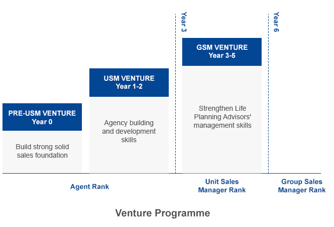 career detail usm venture graph